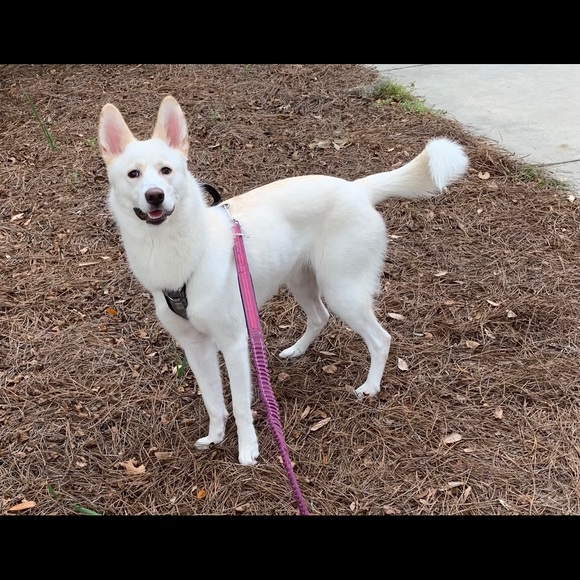 Meet your Posher, Donna - Picture 1 of 1